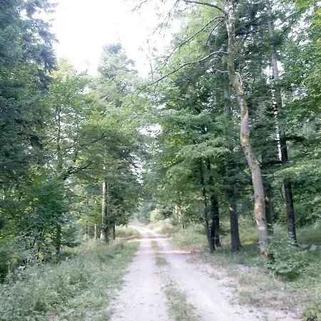 Tomo2 Apartment Postojna
