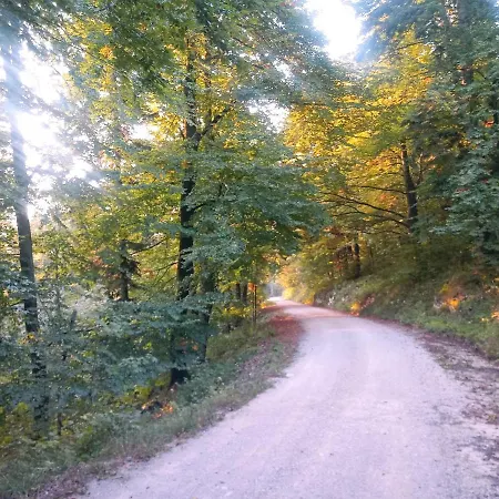 Apartmán Tomo2 Postojna