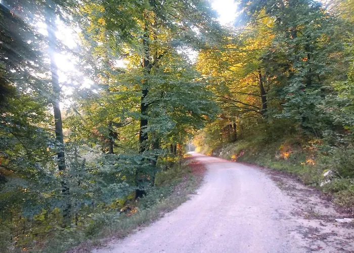 公寓 Tomo2 波斯托伊纳